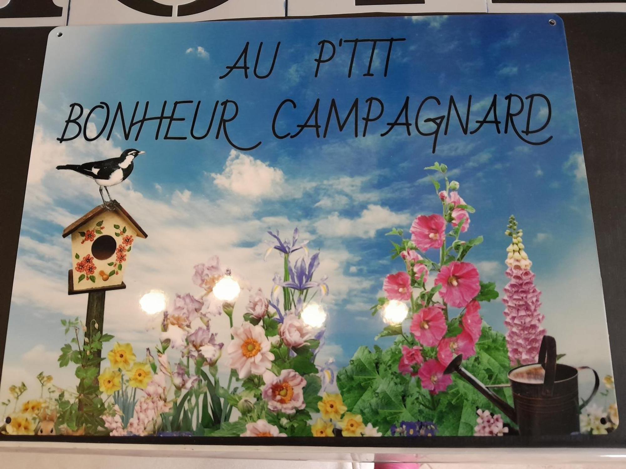 Chambres D Hotes Au P'Tit Bonheur Campagnard Jarnosse Buitenkant foto