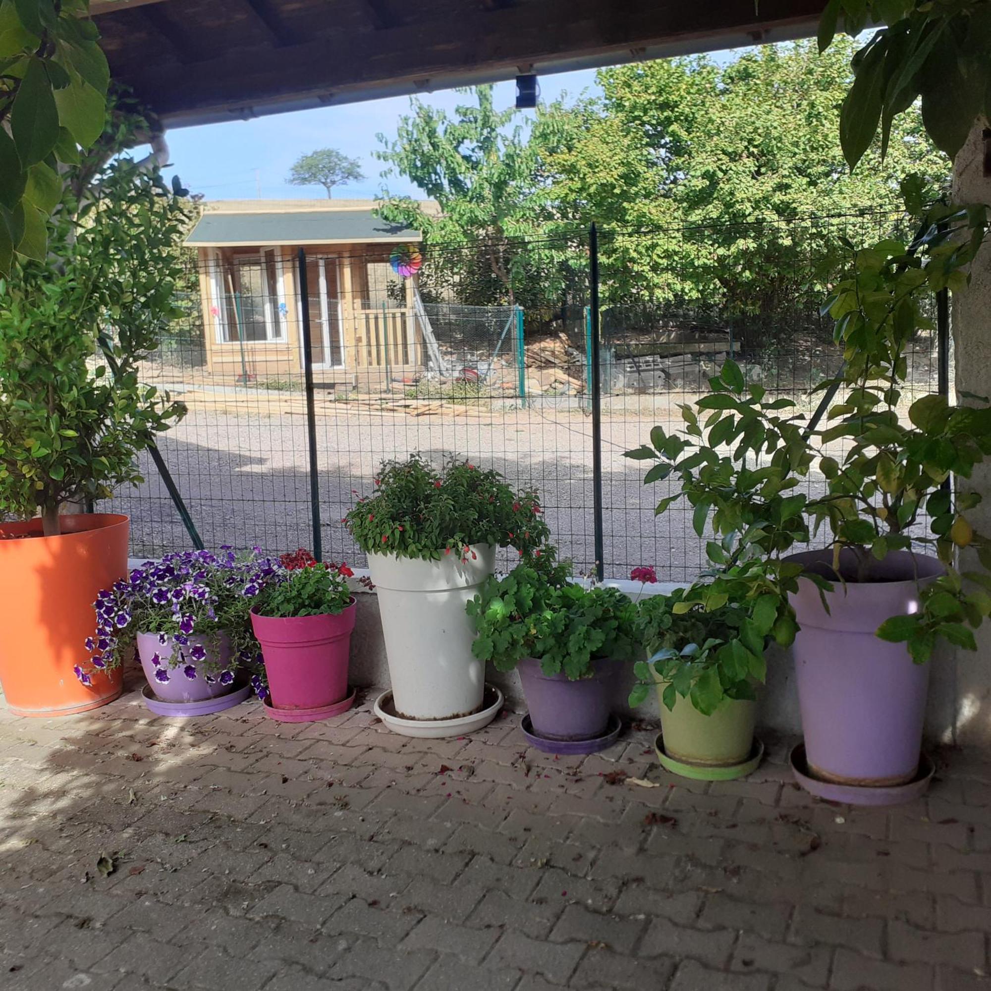 Chambres D Hotes Au P'Tit Bonheur Campagnard Jarnosse Buitenkant foto