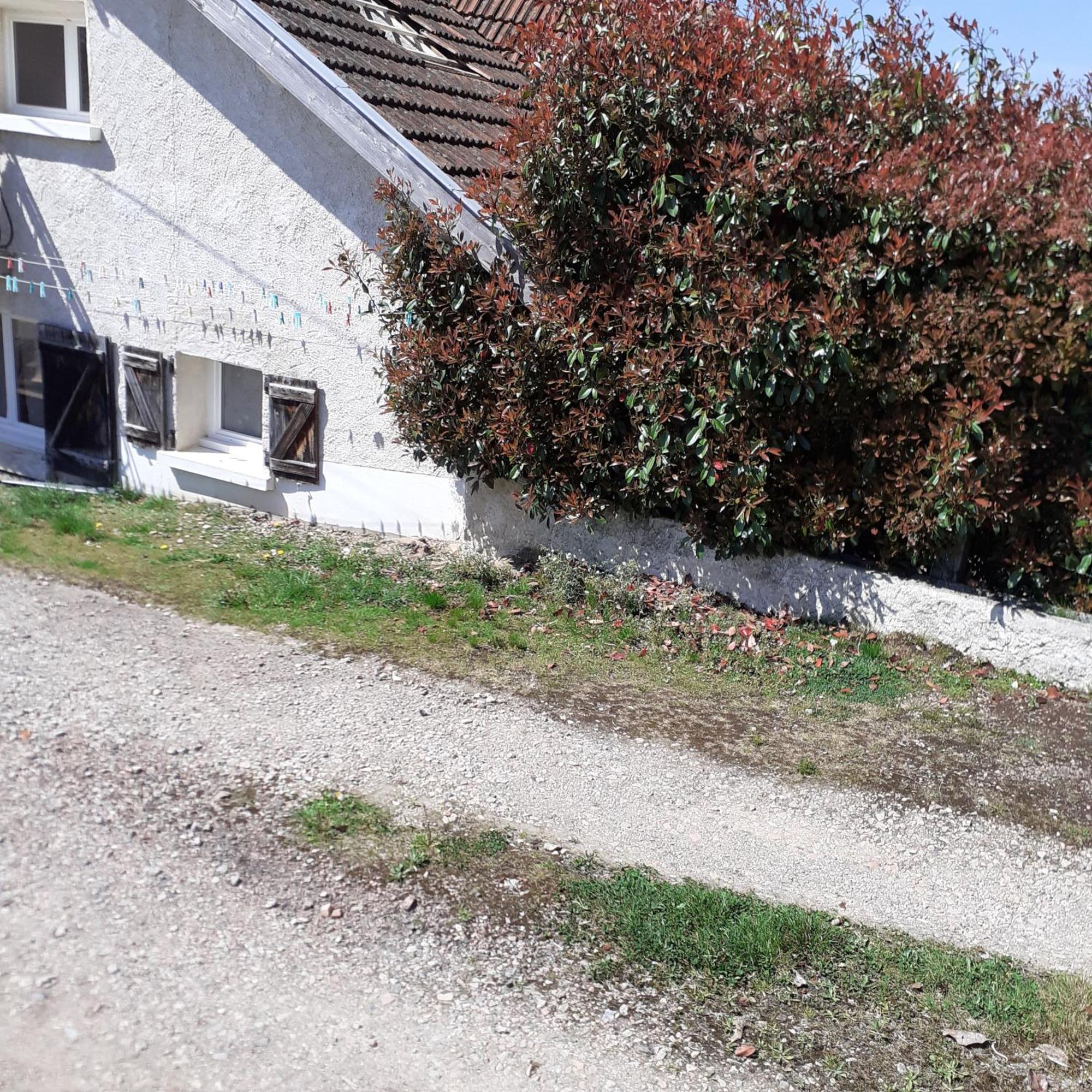 Chambres D Hotes Au P'Tit Bonheur Campagnard Jarnosse Buitenkant foto